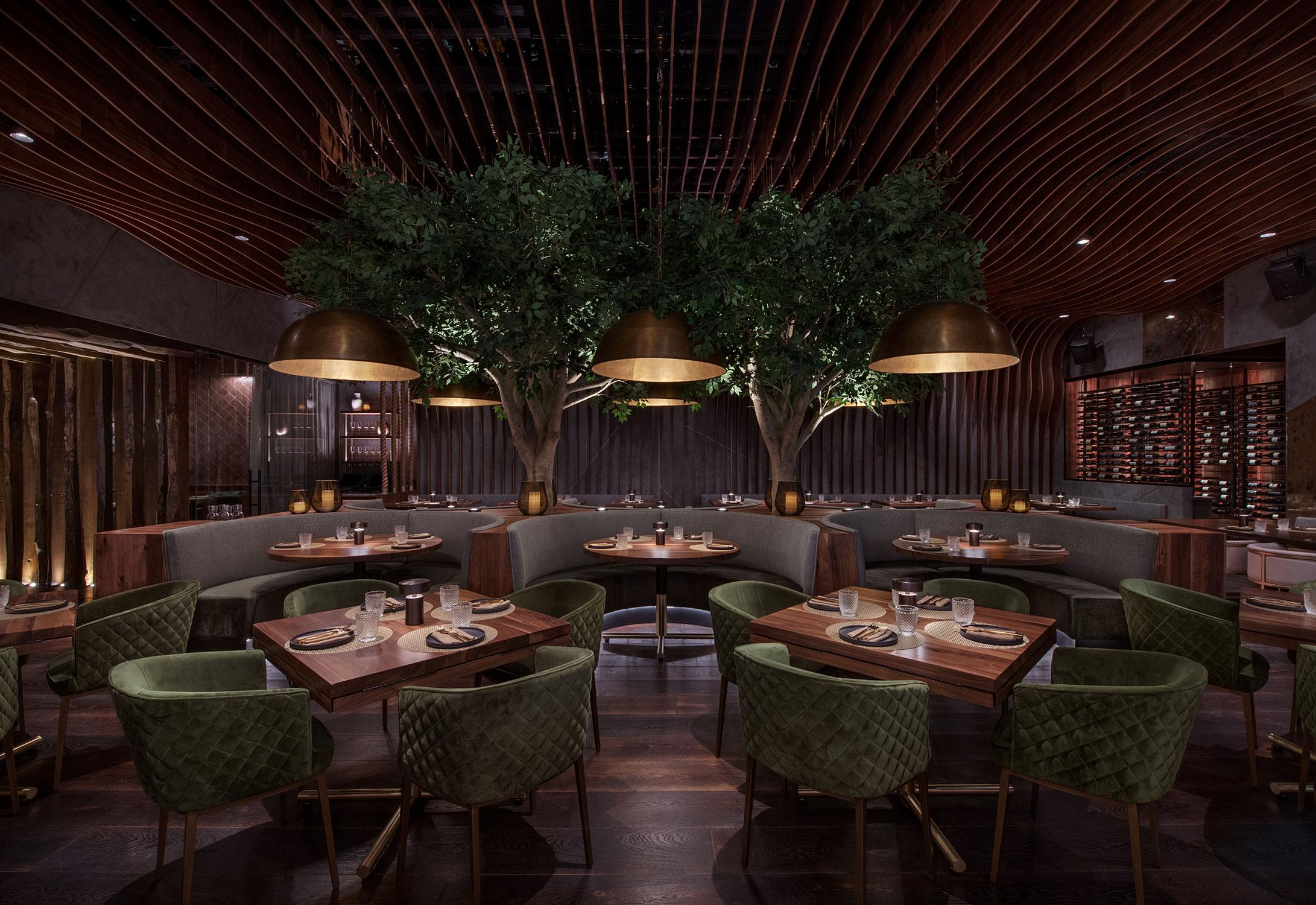 Toca Madera Experience Background